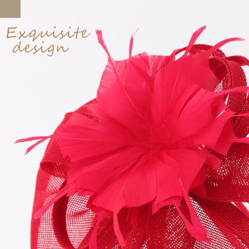 Image of DRESHOW Fascinators Hat Feather Headband Women's Fascinators Tea Party Headwear with Clip Flower Head Band for Girls & Women