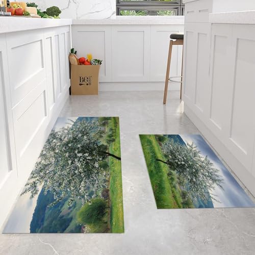 Juego de 2 alfombrillas de cocina óleo de manzano 50x80 y 50x150cm tapete de entrada blando 5