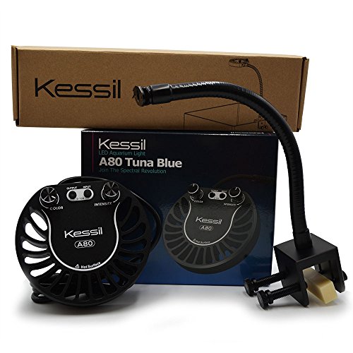 Kessil Tuna Blue A80 LED Light w/ mini gooseneck Kessil Tuna Blue A80 LED Light w/ mini gooseneck