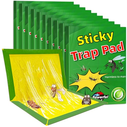 10 Pièces Piege a Souris, Piege a Rat, Anti Plaques Collantes Souris, Plaques de glu Anti, Puissant Mouse Trap Mulot Exterieur Efficace Interieur (10 Pièces)