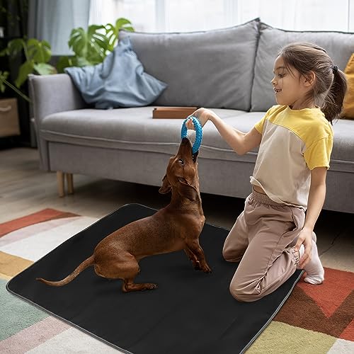 YFbrite Faltbare Outdoor Hundematte| Innen hundedecke waschbar | Gestepptes Kunstleder hundematte wasserdicht| Camping Decke Hund Katze Mat (S)