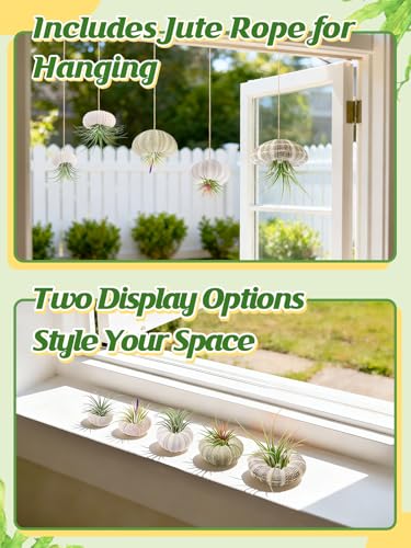Image of ANPHSIN 5 Pack Mini Sea Urchin Shell Air Plant Holders, 5 Styles, No Plants | Decorative Hanging Air Plant Pot, Tillandsia Succulent Display Container for Home Gardening Gifts Beach Theme Party Decors
