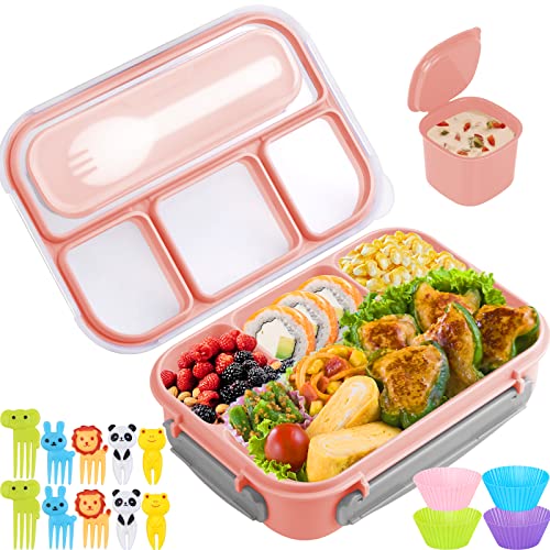 Bento Box Kids Adult Lunch Box