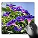 Price comparison product image 3dRose mp_167483_1 8" x 8" Deep Purple Morning Glory Climbing Plant-Funnel Shaped Morning Glory Flower Mouse Pad