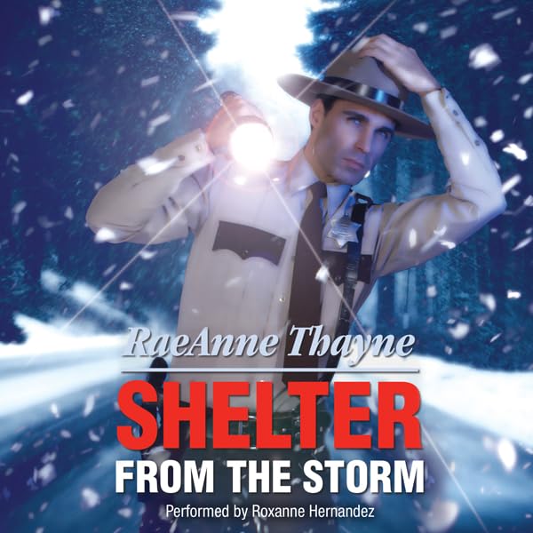 Cover art for Shelter from the Storm