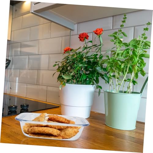 Plaque de cuisson verre borosilicate pour four et rôtir