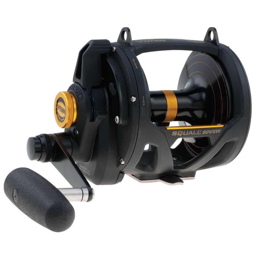 PENN Squall II Lever Drag 2 Speed Conventional Fishing Reel