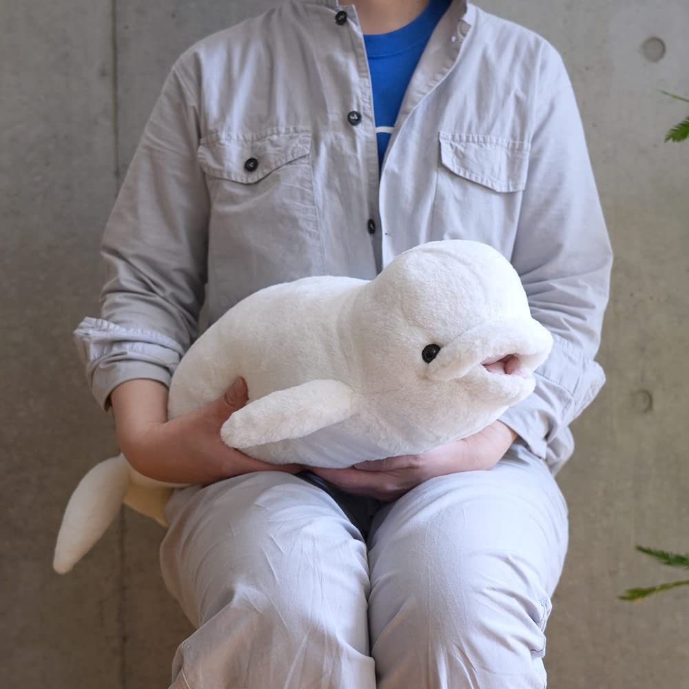 Amazon.co.jp: サンレモン ひざしろいるか M 30×58×17cm ぬいぐるみ