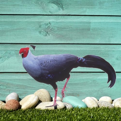 BESPORTBLE Yard Chicken Stake Dekorativer Garten-hühnerschild-Stake Acryl-Einsatz Für Modernes Outdoor-