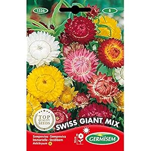 Germisem EC1536 Swiss Giant Mix Stro Bloem Zaden 0.75 g