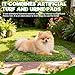Hundetoilette Welpentoilette, 2 Stück Wiederverwendbar Hundetoilette Ersatzrasen Hundeklo für Zuhause Rasen Training Pee Pads Anwendbar Kleine Hunde(36,5 x 46 cm)