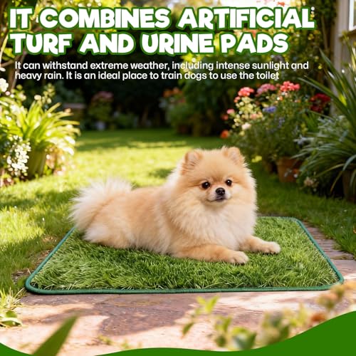 Hundetoilette Welpentoilette, 2 Stück Wiederverwendbar Hundetoilette Ersatzrasen Hundeklo für Zuhause Rasen Training Pee Pads Anwendbar Kleine Hunde(36,5 x 46 cm)