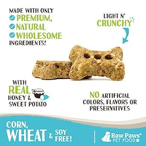 Raw Paws Mini Bones for Dogs  Sweet Potato  Honey Recipe 10oz  Made in Usa Mini Dog Biscuits Small Training Treats for Dogs  Wheat Corn Soy Free Crunchy Dog Treats Mini Bones for Dogs  Cucciolini Doodles Raw paws mini bones for dogs  sweet potato  honey recipe 10 oz  made in usa mini dog biscuits small training treats for dogs  wheat corn soy free crunchy dog treats mini bones for dogs   cucciolini doodles