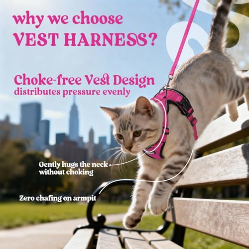Image of rabbitgoo Cat Harness and Leash Set, Escape Proof Vest, Rose Red | Soft Breathable Mesh, Easy Adjustable Fit, Snap Buckles, Sturdy Clip, Reflective Strips, for Kittens & Small Cats Walks, Xxs