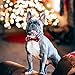 Asvin Weihnachten Hundehalsband, mit Hunde Fliege Abnehmbarer, Weich und Bequem Hunde Halsband Einstellbar, für Wenige Mittlere und Große Hunde