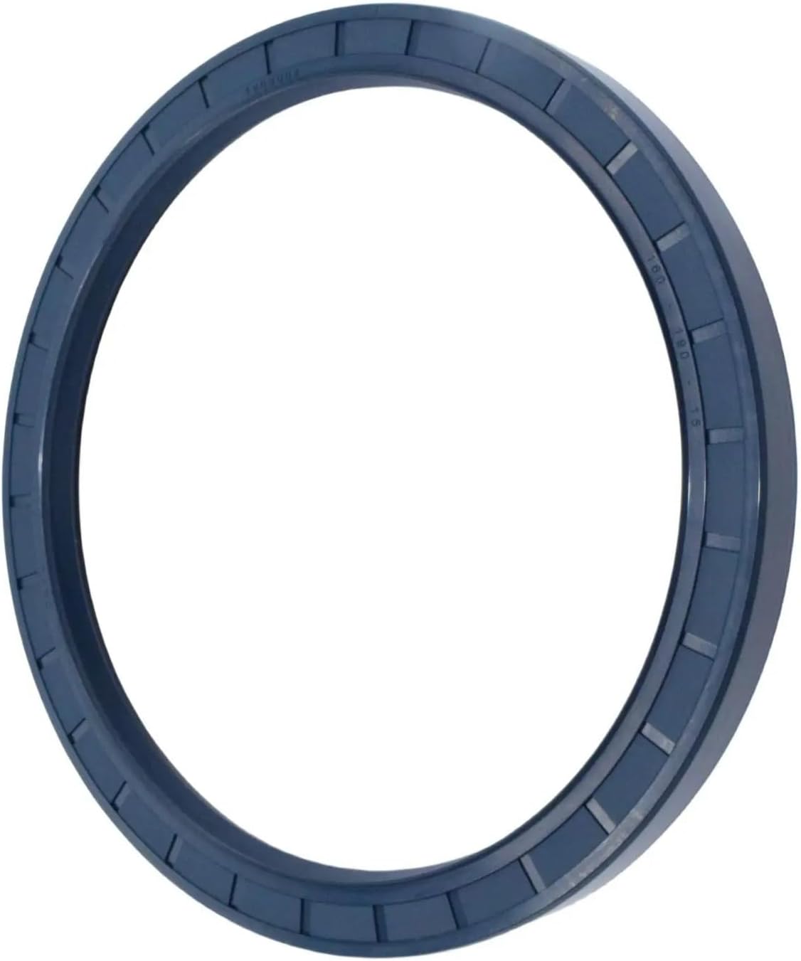 Oil Seal Model 160 * 190 * 15