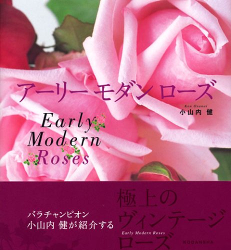 アーリー モダン ローズ