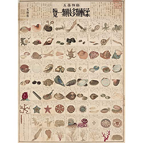 Artery8 Kato Chikusai Species of Sea Life Shellfish Japanese Art Print Canvas Premium Wall Decor Poster Mural