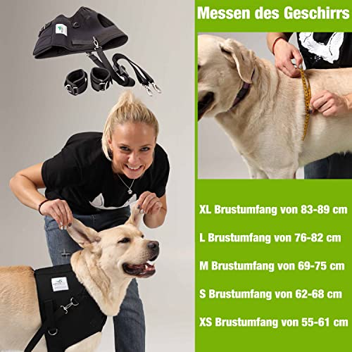 Nature Pet Hundeexpander & Rehageschirr für Hunde – Flexipander zur Rehabilitation, Mobilitätshilfe & sanften Unterstützung L