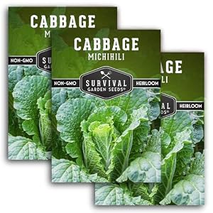 Napa Cabbage Seeds for Planting – Survival Garden Seeds (3 Packs)