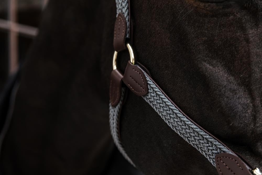 Cabezada para Caballos Nylon Trenzada Kentucky