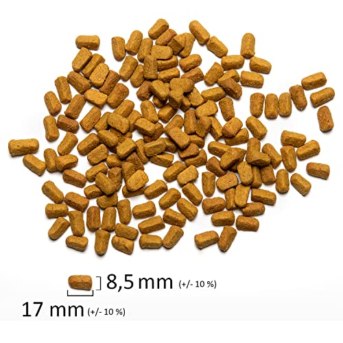 Psittacus Omega 3 kg | Alleinfutter für Yakos, Aras, Eclectus und andere afrikanische Papageien | Premiumfutter für Geflügel, 100% Nicht-GMO