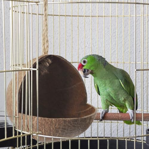 Image of Natural Coconut Bird Nest,Hanging Coco Birds House Habitats Decor,Parrots Coconut Shell Nest Hideout with Grinding Beak Toys,Bird Cage Accessories Coconut for Canary Lovebird Cockatiel