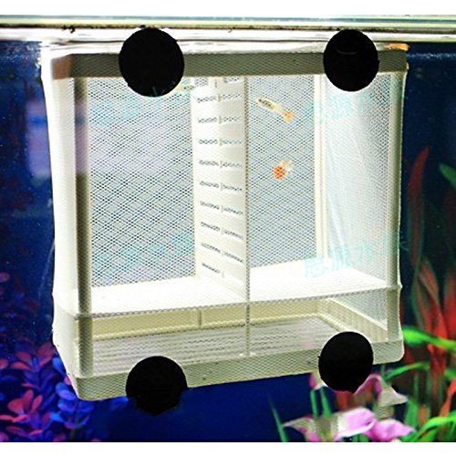 Kangkang@ Diy Aquarium Fish Breeding Box Tank Fish Incubator Net Fry Baby Fish Hatchery Equipment Isolation Net Box Tank With Suction Cup Size S/L (L) #TOP30