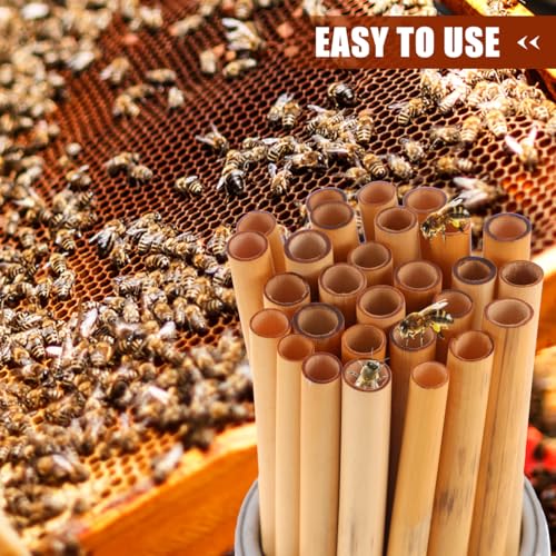 Image of Balacoo Mason Bee Nesting Tubes Refill 200 Pack Reed Inserts | Reed tubes, replacement liners, bee house refill, garden use, solitary bee support, confirm tube size before purchase