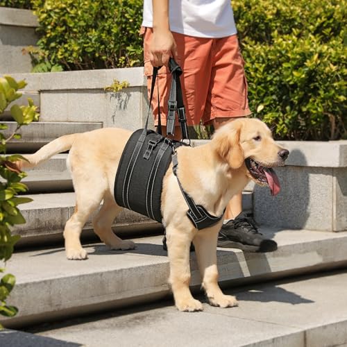 Image of NOYAL Dog Lift Harness Sling - Adjustable Pet Carrier for Senior Dogs with Arthritis Joint Injuries, Emergency Support Rehabilitation Aid for Nail Trimming, Stairs Assistance