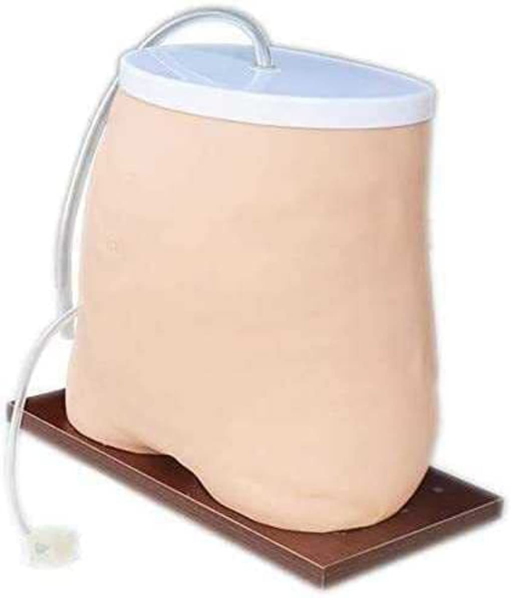 Modèle D'Enseignement, Modèle De Dialyse Péritonéale Humaine, Modèle D'Enseignement Médical, Modèle D'Anatomie De Formation Sur Simulateur De Dialyse Péritonéale, Fourniture Abdominale De Mannequin P