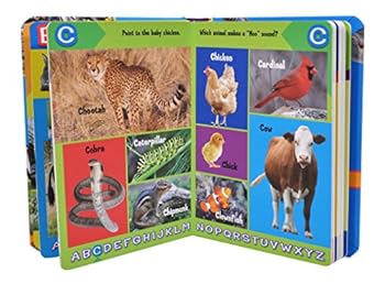 Animal ABCs Alligator to Zebra