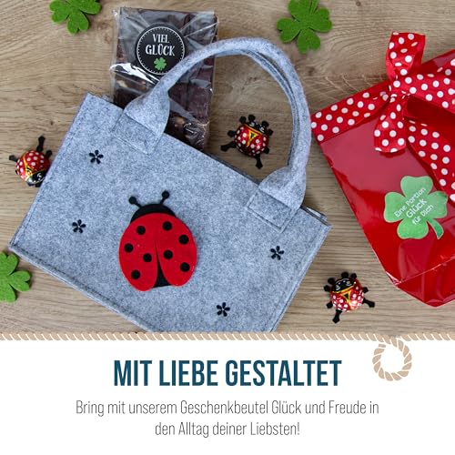 Filztasche mit Marienkäfer: Kleine Filz-Geschenktasche mit Henkel zum Befüllen, Henkeltasche Geschenk, Glücksbringer & Ostergeschenke, Geschenktüte Erwachsene & Kinder, Tragetasche, 21 x 14 x 6 cm