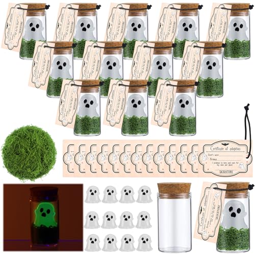 Vicenpal 37 Pcs Valentines Day Adopt a Ghost