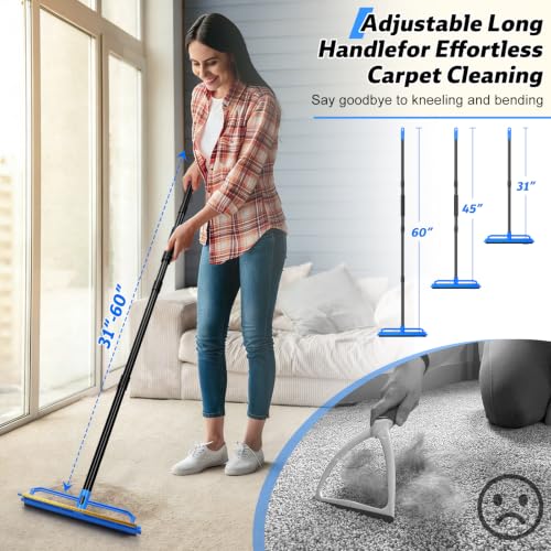 2 in 1 Carpet Rake for Pet Hair Removal Tool - image 4