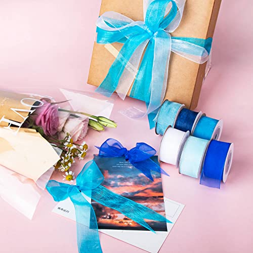 Sofire 6 Roll 1 Inch Wide Blue Organza Ribbon Sheer Chiffon Ribbon For Gift Wrapping(Blue) #TOP6