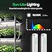 VIVOSUN T5 Grow Lights for Indoor Plants, 5000K Full Spectrum 24W(4 X 6W), 1FT LED Plant Light Strip for Seed Starting, Greenhouse, Hydroponics, SGS Compatible, Linkable, 4-Pack