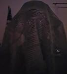 Review Image by Hart Hart