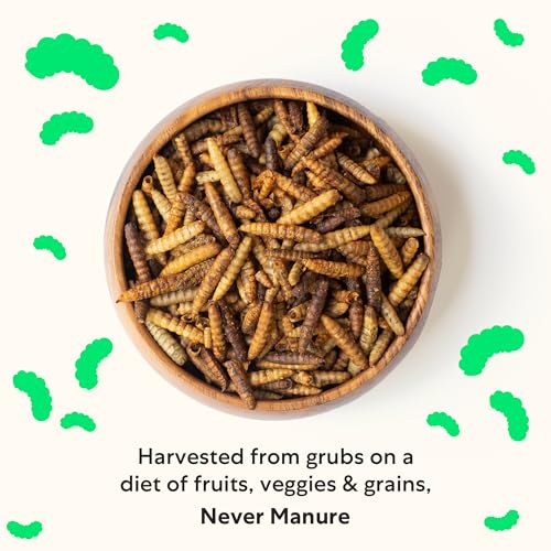 Image of Grubbly Farms Love Tub - Black Soldier Fly Larvae for Chickens - Chicken Treats with 50x More Calcium for Strong Eggshells and Healthy Feathers - Grown in the US and Canada - 5lb Reusable Tub