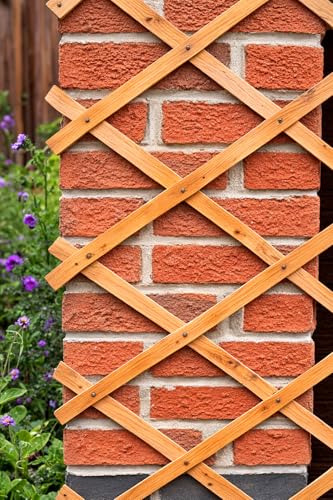 kanta 2 grands treillis en bois extensible | 1,8 m x 0,6 m