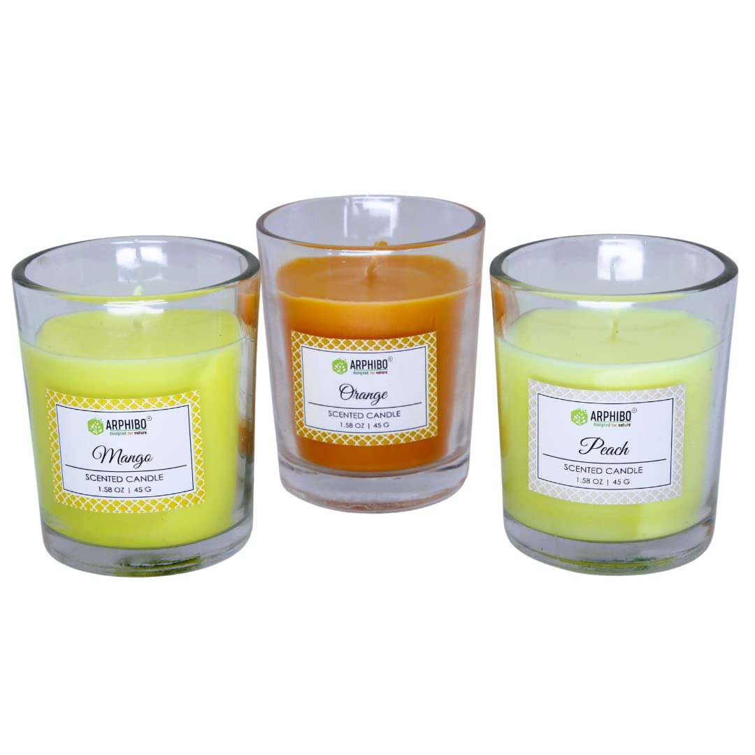 ARPHIBO 3 Pack Set Fragrance Candle in Glass Jar Mango Orange Peach (Frooty La)