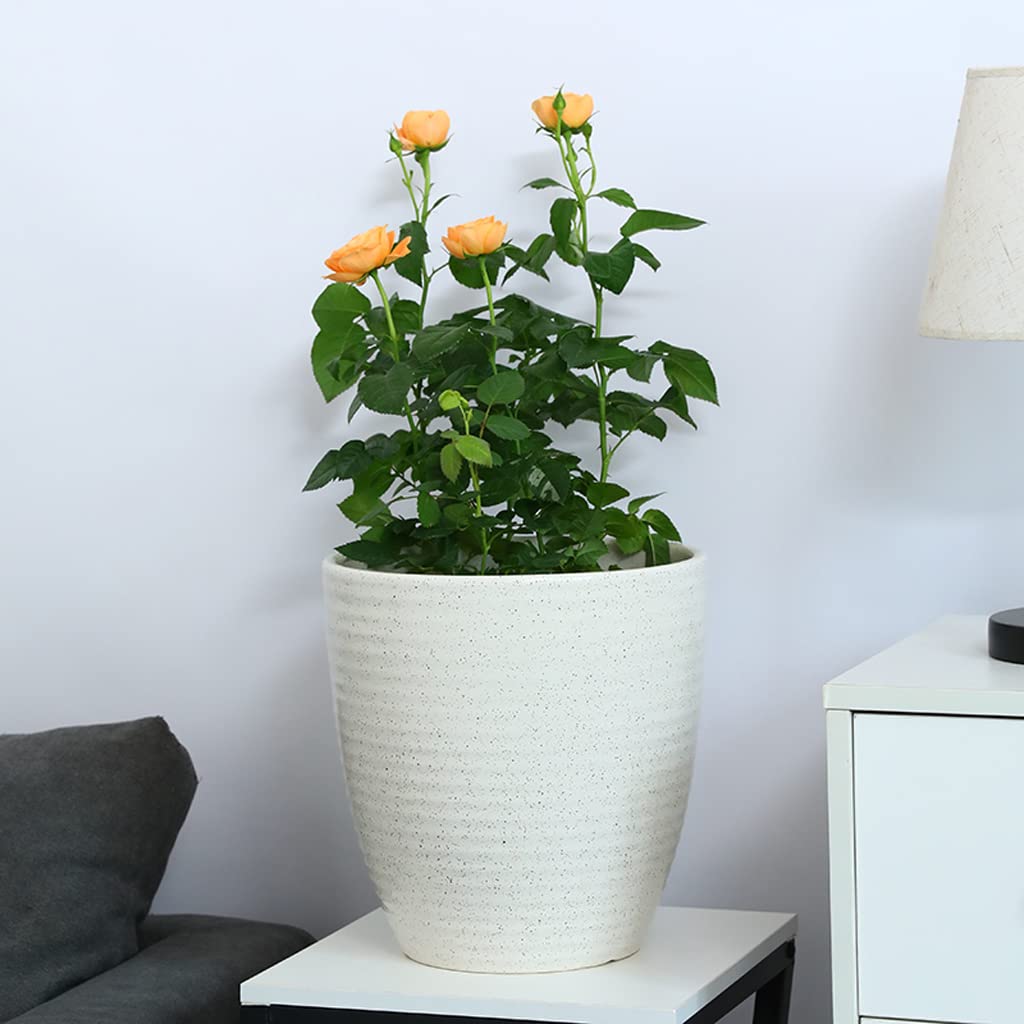 Vasi da Giardino Vasi per Piante in Ceramica, Vaso da Fiori Moderno da 8/10/12" con Foro di drenaggio per Tutte Le Piante domestiche, Decorazioni per la casa e L'Ufficio (Bianco)