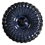 CIYODO Sushi Platte aus Keramik Sternenblau Dekorative Servierplatte für Snacks und Dips Leicht zu Reinigen und Mikrowellengeeignet für Feiern