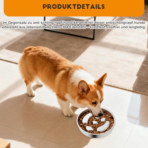 Antischlingnapf Hunde Edelstahl - Anti Schling Napf Hund Ø22cm Slow Feeder aus 304 Edelstahl, Metall Schlecknapf für Schnelle Esser, Spülmaschinengeeignet & Langlebig, für mittelgroßer Hund