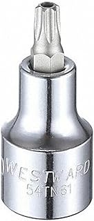 Socket Bit, Steel, 1/2 in, TpSz T40