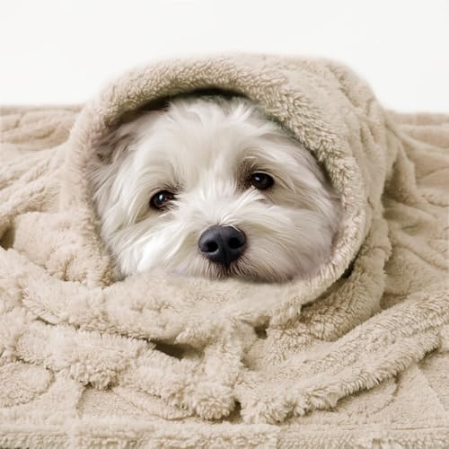 Luciphia-Dog-Blanket-Washable-Pet-Bed-Cover-Soft-Fluffy-Puppy-Blanket-with-Premium-Fleece-Cozy-Calming-Cat-Blankets-for-Indoor-Cats