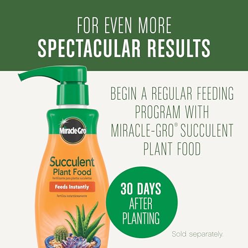 Miracle-Gro Succulent Potting Mix, 4 qt. - image 9
