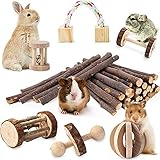JanYoo Hamster Spielzeug, 7-teiliges Meerschweinchen Spielzeug aus Holz Apfelhölzer Lamellenball Set Hanteln für Kanichen Maus Chinchillas Kleintier