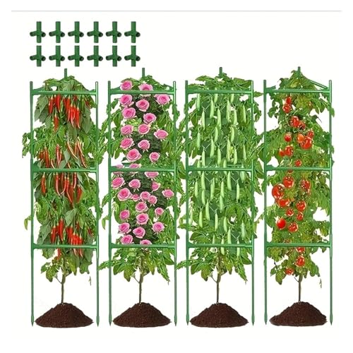 Cage à tomates treillis de concombre et piquets support plantes métal