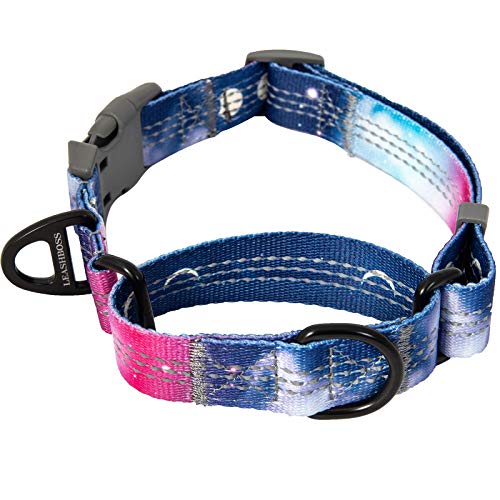 Leashboss Pattern Martingale Dog Collar, Reflective No-Pull Training Collar, Pattern Collection (Space Pattern - Medium-Large 16-19 Neck x 1 Wide)
